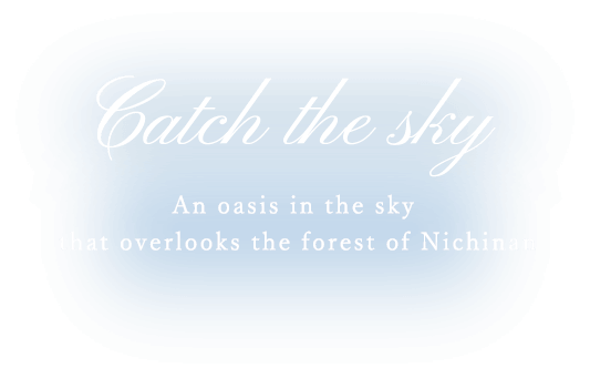 oasis in the sky that overlooks the forest of Nichinan